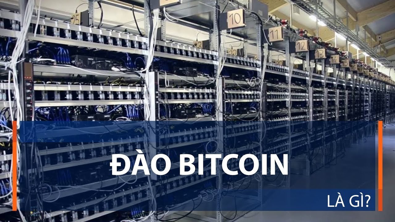 đào Bitcoin4