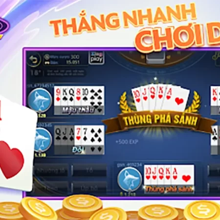 Mẹo Chơi Game Xì Tố ZingPlay 2024 Dễ Thắng Cho Người Mới